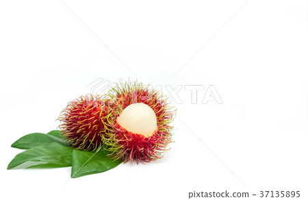Fresh red ripe rambutan with leaves isolated  37135895
