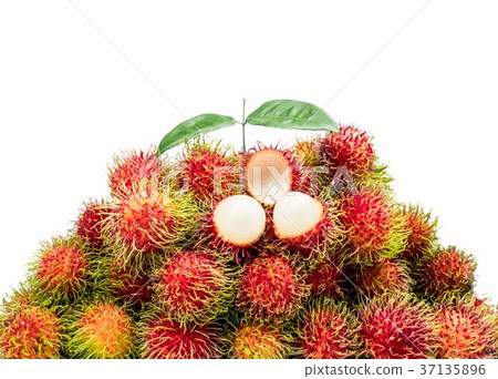 Fresh red ripe rambutan with leaves isolated Fresh red ripe rambutan with leaves isolated 37135896