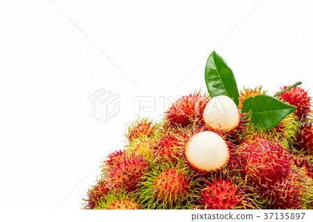 Fresh red ripe rambutan with leaves isolated Fresh red ripe rambutan with leaves isolated 37135897