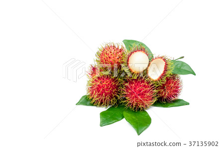 Fresh red ripe rambutan with leaves isolated  37135902