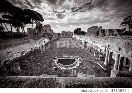 Ruins of Stadium of Domitian on Palatine, Rome 37136434