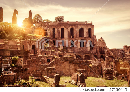 Ruins of the Roman Forum on sunny day, Rome 37136445