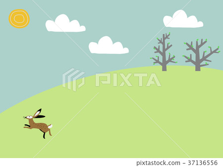 Spring landscape. Image of wild boar and field. 37136556