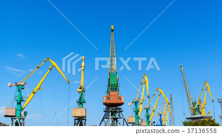 Harbor cranes on blue sky background 37136558