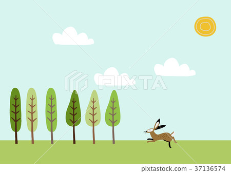 春天的風景。野公豬和領域的圖像。 37136574