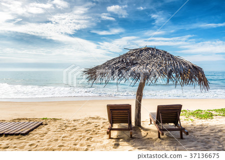 Beach beds with umbrella on the tropical beach Beach beds with umbrella on the tropical beach 37136675