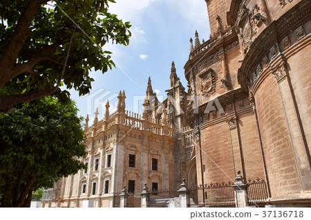building Seville Spain Catedral Santa Maria building Seville Spain Catedral Santa Maria 37136718