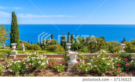 Garden in the Vorontsov Palace in Crimea Garden in the Vorontsov Palace in Crimea 37136825