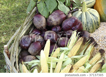 Fresh raw vegetables 37137385