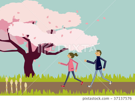 Couple walking with cherry blossoms. Spring image. 37137576