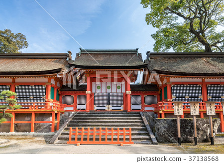 Usa Shrine 37138568