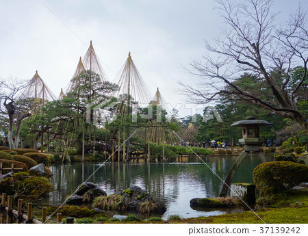 Kenrokuen花園燈籠和雪掛(石川縣·金澤市) Kenrokuen花園燈籠和雪掛(石川縣·金澤市) 37139242