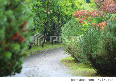 公園長廊 37139498