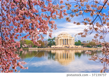 Washington DC Spring 37139737