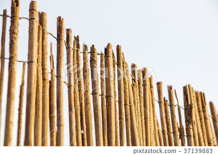 bamboo fence background on the beach 37139883