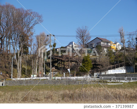 Stairs to Musashino Park Stairs to Musashino Park 37139987