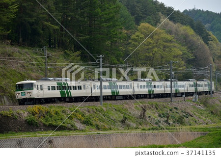 Series 185 Limited Express Hamakaji 37141135