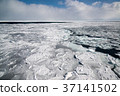 Drift ice off the Okhotsk Sea Abashiri 37141502