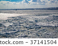 Drift ice off the Okhotsk Sea Abashiri 37141504