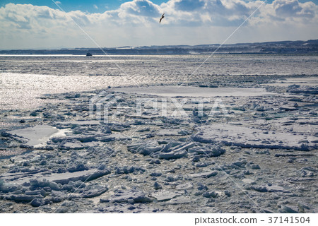 Drift ice off the Okhotsk Sea Abashiri Drift ice off the Okhotsk Sea Abashiri 37141504