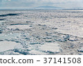 Drift ice off the Okhotsk Sea Abashiri 37141508