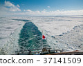 Sea ice in the Sea of Okhotsk Sea ice seen from Abashiri tourist icebreaker 37141509