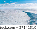 Drift ice off the Okhotsk Sea Abashiri 37141510
