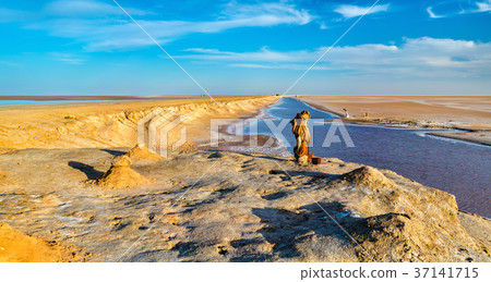 Chott el Djerid, a dry lake in Tunisia 37141715