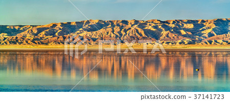 Chott el Djerid, a dry lake in Tunisia 37141723