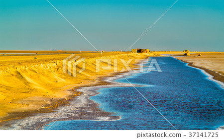 Chott el Djerid, a dry lake in Tunisia 37141725