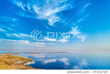 Chott el Djerid, a dry lake in Tunisia Chott el Djerid, a dry lake in Tunisia 37141729