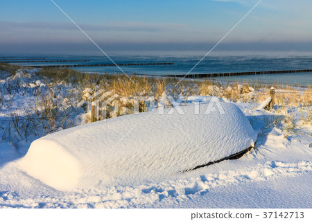 Winter on the Baltic Sea coast in Zingst, Germany 37142713