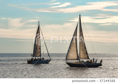 Sailboats traveling by Baltic sea Sailboats traveling by Baltic sea 37144588