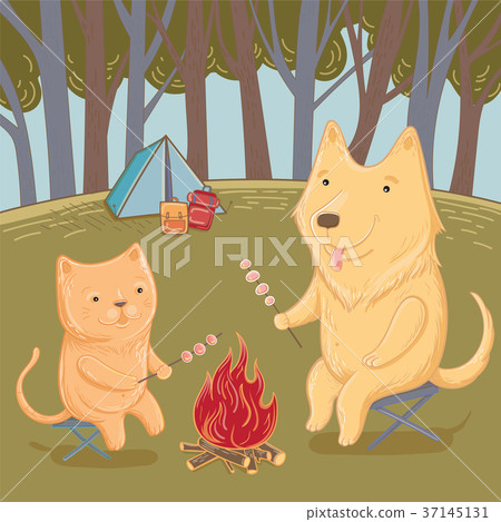 Vector illustration of a hike in the forest 37145131