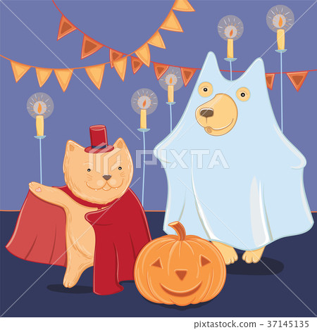 Vector funny dog and cat in halloween costumes Vector funny dog and cat in halloween costumes 37145135