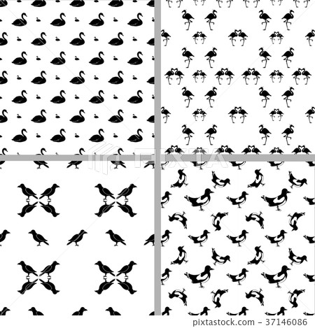 Set of four seamless patterns with different birds Set of four seamless patterns with different birds 37146086
