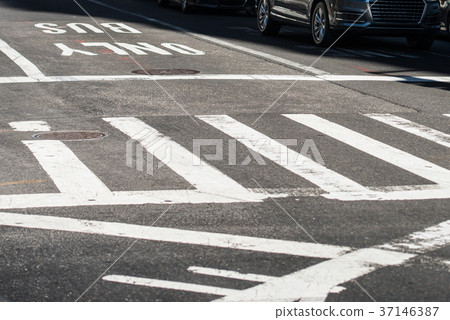Crosswalk in the city street intersection Crosswalk in the city street intersection 37146387