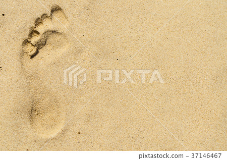 Background of fine sand Background of fine sand 37146467