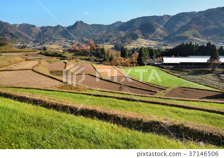 高千穗的風景 37146506