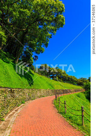 Fresh green Saikai Bridge Park Fresh green Saikai Bridge Park 37146865