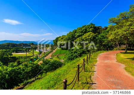Fresh green Saikai Bridge Park 37146866