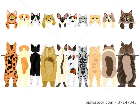 Set of bordered cats who stood up 37147343