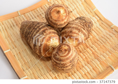 Taro Stock Photos 37147379