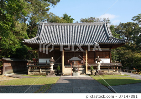 Daishodo Daishodo 37147881