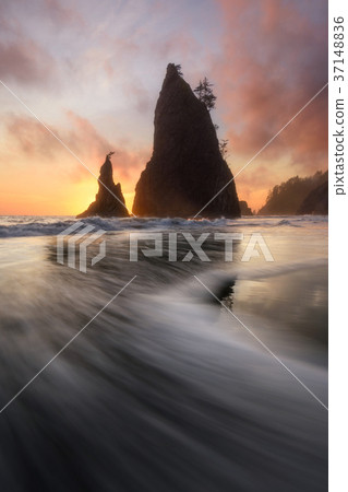 Olympic National Park, Washington 37148836