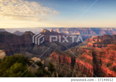 Grand conyon North rim, Arizona Grand conyon North rim, Arizona 37149012