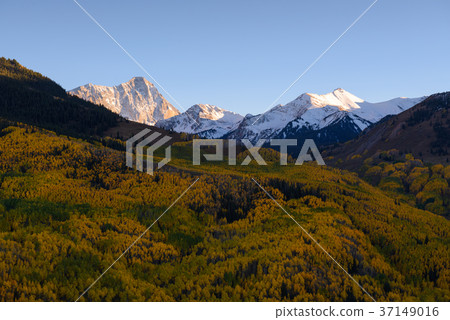 Fall color Capital Peaks, snowmass, Colorado 37149016