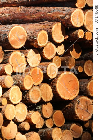 林業木原木 37149089