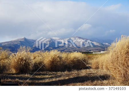 View Mt. Akagi from multiple towers on the mountain View Mt. Akagi from multiple towers on the mountain 37149103