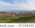 Sea overlooking the grassland 37149595